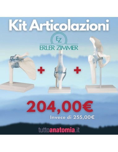 Kit Articolazione dell'anca, della spalla e del ginocchio Erler Zimmer