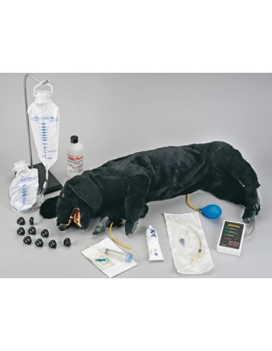 Advanced CPR training dog dummy VET2550