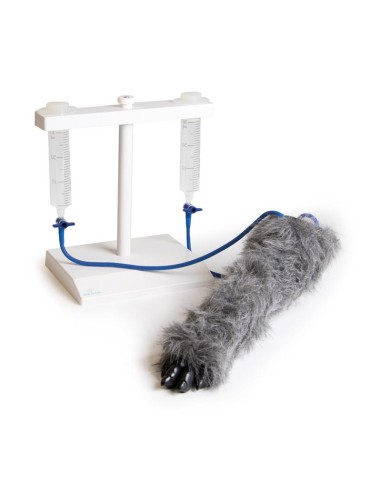 Dog paw for intravenous injection simulation VET4610