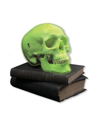 Neon Skull, 3B Scientific A20/N