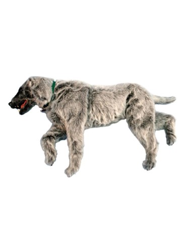 Mannequin de chien pour simulation de positionnement Emily K9 Erler Zimmer VET4030