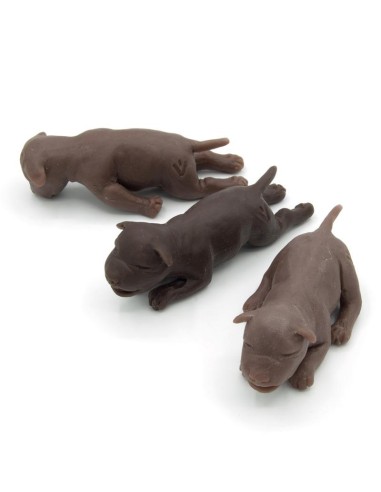 Set of three puppies for Gynecological Training Dog Simulator Erler Zimmer VET5020