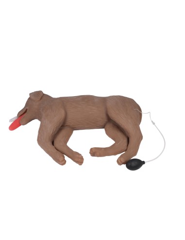 CPR training dog simulator CooPeR Erler Zimmer 4660