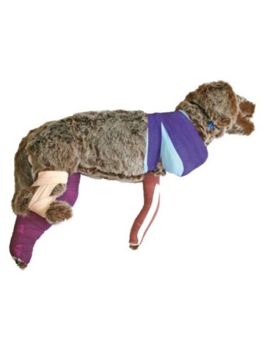 Rufus bandage training dog dummy - VET4050