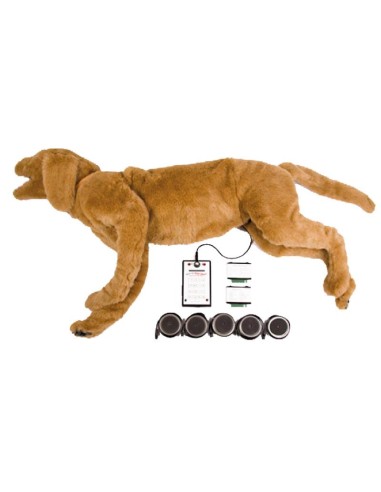 Maniquí de perro para simulación de respiración y sonido cardíaco Goldie VET4040