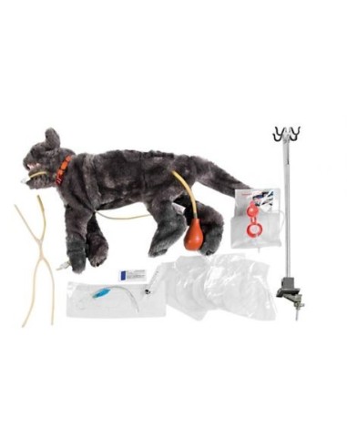 Cat dummy for critical care rescue training - VET4110