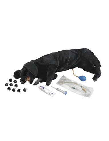 CPR training dog dummy Erler Zimmer VET2540