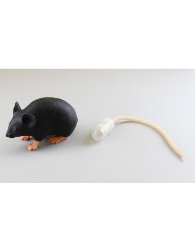 Mannequin souris Mimicky EZ VET4220