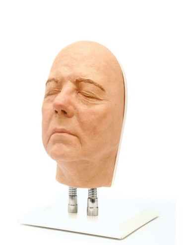 Simulador de inyección facial modelo B, Erler Zimmer 8110