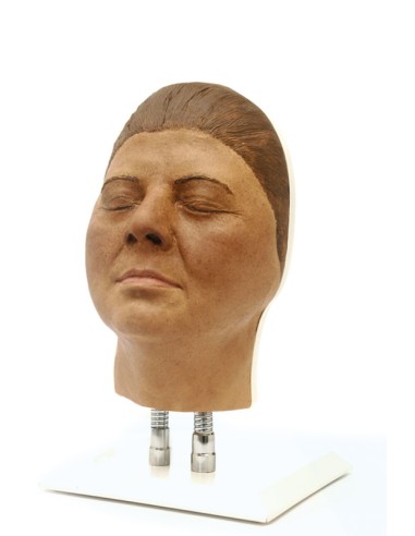 Simulador de inyección facial modelo F, Erler Zimmer 8150