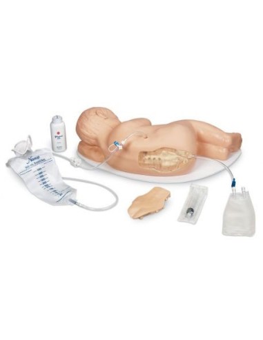 Pediatric Simulator for Caudal Injection Training Erler Zimmer R11032