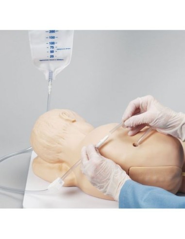 Simulateur pédiatrique pour la formation à l'injection lombaire Erler Zimmer R11031