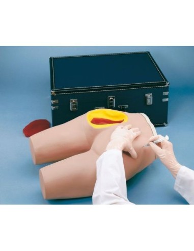 Simulateur de formation à l'injection intramusculaire Erler Zimmer R10961