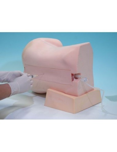 Simulateur d'injection épidurale et rachidienne Erler Zimmer R16603