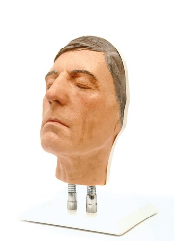 Simulateur d'injection faciale modèle D, Erler Zimmer 8130