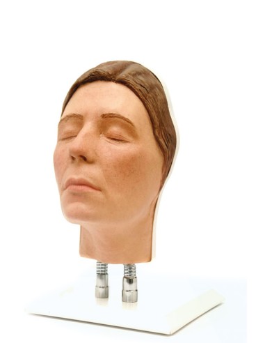 Simulador de inyección facial Modelo E, Erler Zimmer 8140