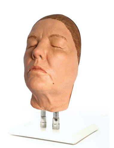 Simulador de inyección facial modelo G, Erler Zimmer 8160