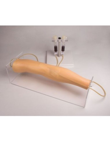 Erler Zimmer 7020 Endovenous Injection Training Arm