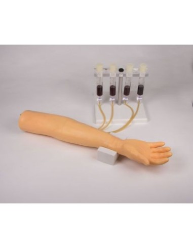 Brazo de entrenamiento para inyección e infusión endovenosa Erler Zimmer 7010