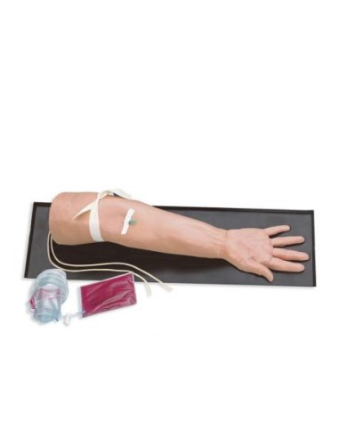 Brazo geriátrico para entrenamiento de inyección endovenosa y arterial Erler Zimmer R10017