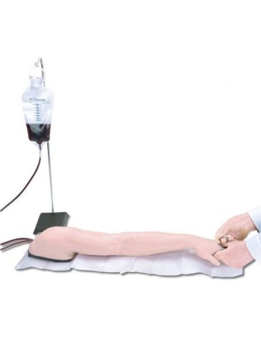 Erler Zimmer intravenous injection training arm R10004