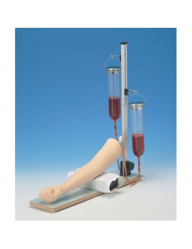 Arm for training intravenous injections and blood draws Erler Zimmer LM28