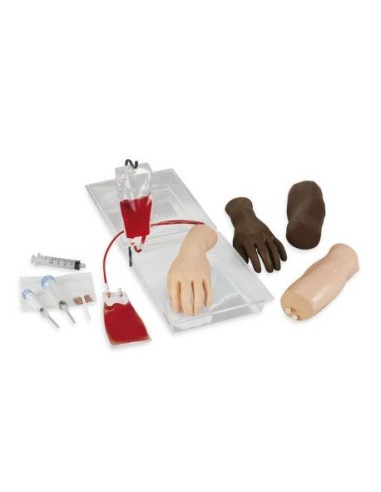 Erler Zimmer R10200 Endovenous Injection Training Hand and Arm