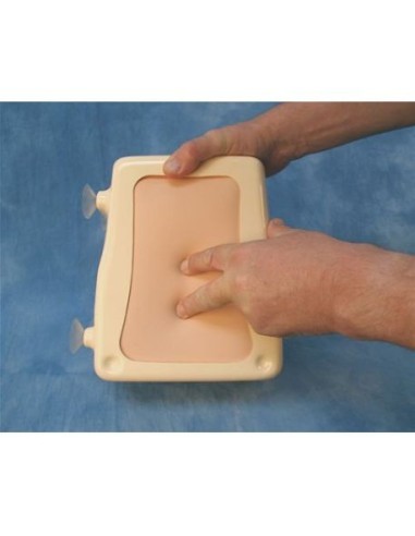 Obese Patient Simulation Kit for Erler Zimmer Epidural and Spinal Injection Simulator R10077