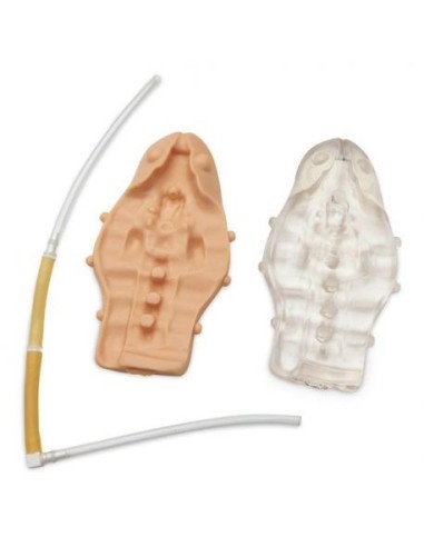 Kit de pièces détachées pour Erler Zimmer Caudal Injection Training Pediatric Simulator R11032