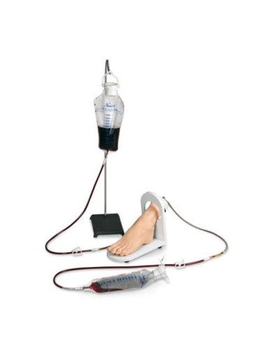 Erler Zimmer Endovenous Injection Training Foot R11005