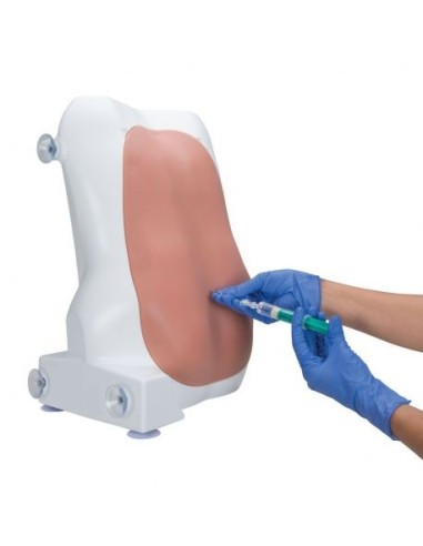 Simulator for epidural and spinal injections 3B Scientific P61