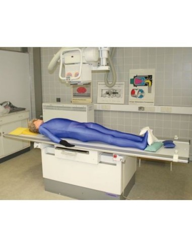 Simulador de radiología - Maniquí de rayos X de cuerpo entero - Erler Zimmer 7200