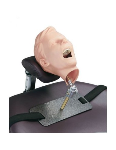 Manikin for dental radiology in et