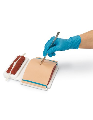 Kit de formation à la suture cutanée avancée d'Erler Zimmer R11212