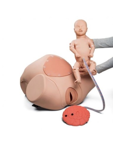 3B Scientific P90 PRO Birthing Simulator