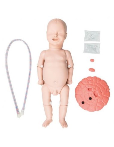 Complete Newborn Set for 3B Scientific P90 Basic Birthing Simulator (cod: XP90-001)