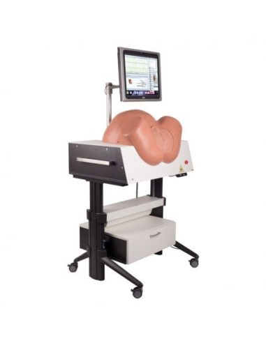 Advanced Birthing Simulator 3B Scientific SIMone P80/1