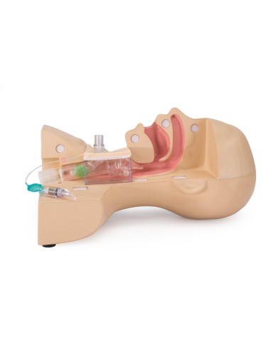 Medical simulator for tracheostomy management Erler Zimmer LM106