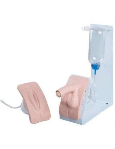 BASIC P93B-S male and female catheterization practice simulator