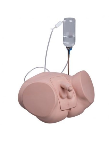 Male catheterization practice simulator PRO P93P-M