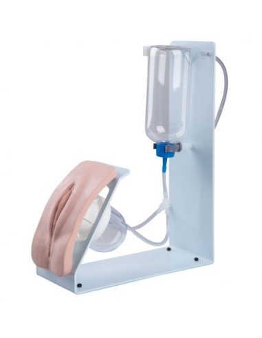 BASIC P93B-F female catheterization practice simulator