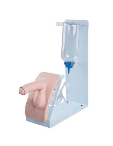 BASIC P93B-M Male Catheterization Practice Simulator