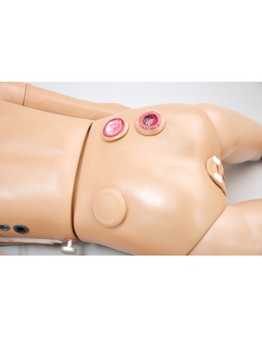 Simulateur de patient infirmier bisexuel, version avancée EZ R17650