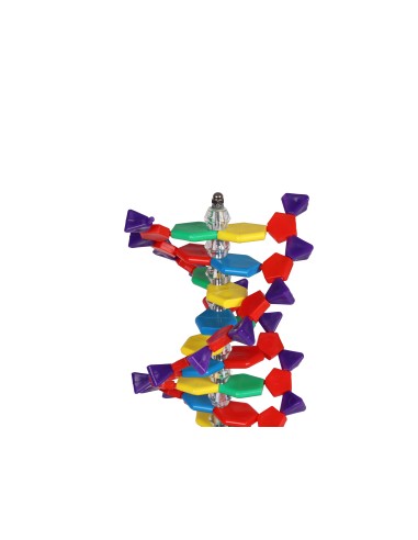 Erler Zimmer C100 Double Helix DNA Model